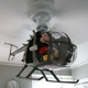 Illustration for article titled MH-6 Little Bird